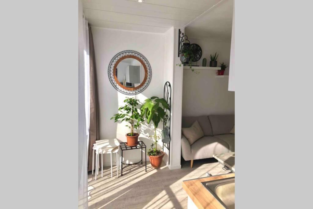Grand Studio Cabine 30 M² Centre Ville, Refait A Neuf Pour Vous ! Climatise La Grande Motte Ngoại thất bức ảnh